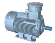 GB3836.1-2000 Asynchronous Electric Motor 380V, YB2-90L-2 YB2-180M-2