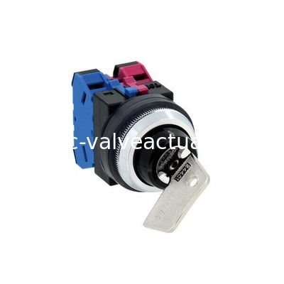 Harga yang bagus ASN2K22N-NO24401 Tipe Push Button Switch Aksi sementara dengan lubang pemasangan φ30 on line