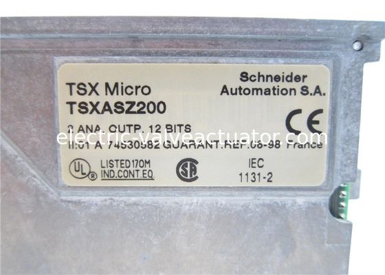 Harga yang bagus Schneider Electric TSXASZ200 TSX Micro 2 output analog +- 10 V 0-20 4-20 mA on line