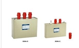 Harga yang bagus Keselamatan Low Voltage Protection Devices Tegangan Rendah Shunt Capacitor Dengan Rugi Rendah on line