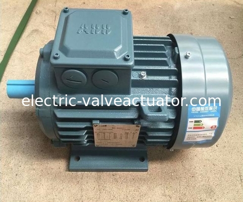 Harga yang bagus M2BA Series 380V IP55 NEMA Flang Foot Dipasang 3 Fase AC Motor Listrik on line