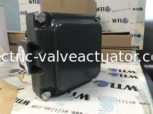 Harga yang bagus TVH-E20GNPM TOPWORX Emerson Valve Monitor dalam Hardcoat Aluminium Anodisasi atau 316 stainless steel on line