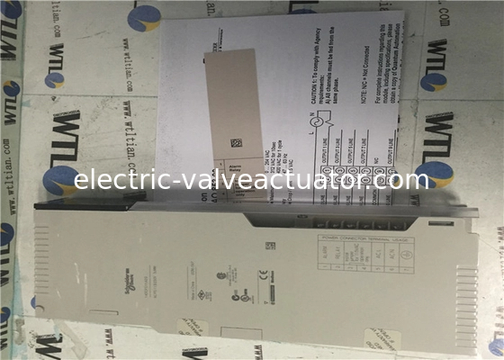 Harga yang bagus Schneider Electric Programable Logic Controller 140CPS11420 Power Supply Module on line