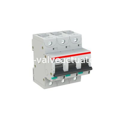 Harga yang bagus ABB 2CCG001233R0001 S803P-C100 High Performance MCB 3 Pole 100A C Curve Miniature Circuit Breaker on line