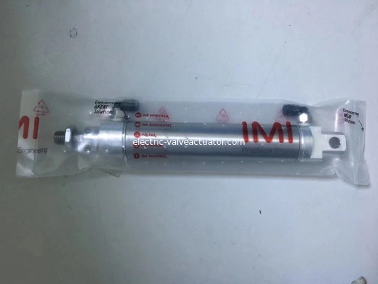 Harga yang bagus Katup Pembangkit Listrik Tabung Silinder Dia 32mm RT/57232/M/50 Karet Nitril SS on line
